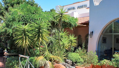 Pineta (Forio)