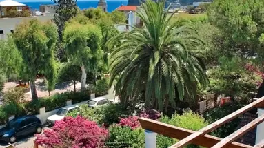 Pineta (Ischia Porto)