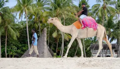 Pinewood Beach Resort & SPA