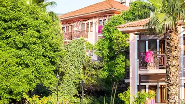 Pink Palace
