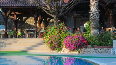Pink Palace