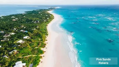 Pink Sands