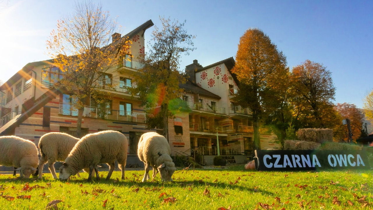 Piwniczna SPA & Conference