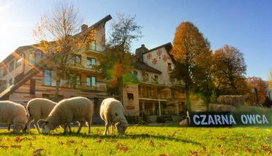 Piwniczna SPA & Conference