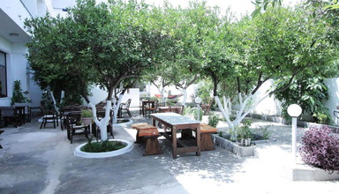 Platon (Faliraki)
