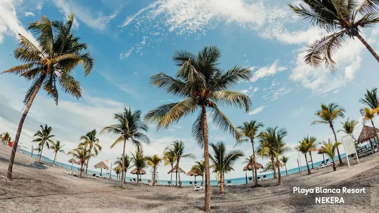 Playa Blanca Resort