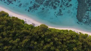 Plumeria Maldives