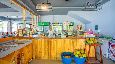 Plumeria Maldives