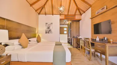 Plumeria Maldives