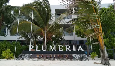 Plumeria Maldives