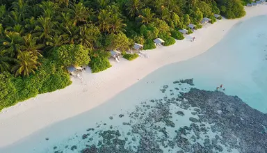 Plumeria Maldives