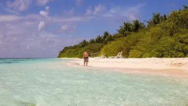 Plumeria Maldives