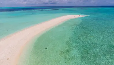 Plumeria Maldives