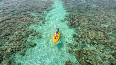 Plumeria Maldives