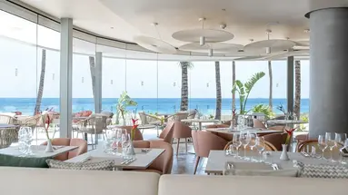 Plus Fariones Suite