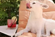 Plymouth Miami Beach