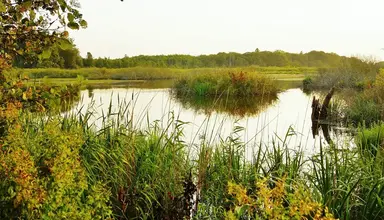 Podczele II