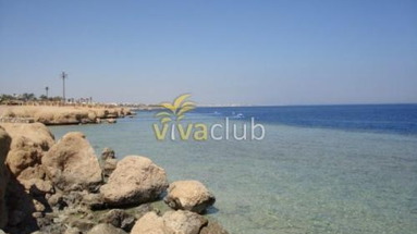 Poinciana Sharm Resort