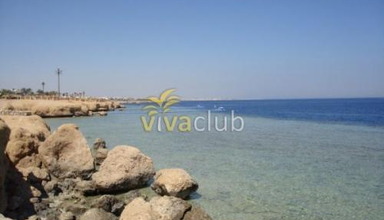 Poinciana Sharm Resort