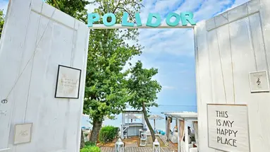 Polidor