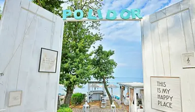 Polidor