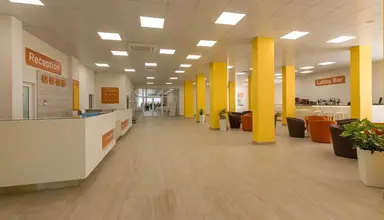 Polyusi