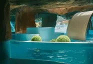 Pontiana Thalasso