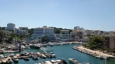 Porto Drach