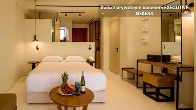 Potnia Theron Suites