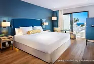 Princess Inspire Tenerife