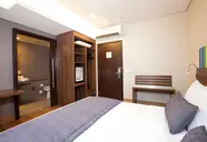 Prodigy Santos Dumont