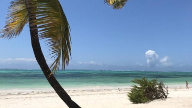 Protels La Plage