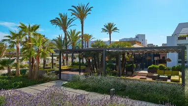 Protur Sa Coma Playa