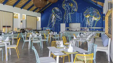 Punta Cana Princess