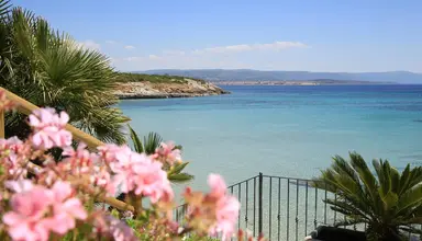 Punta Negra