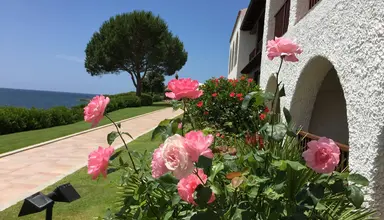 Punta Negra