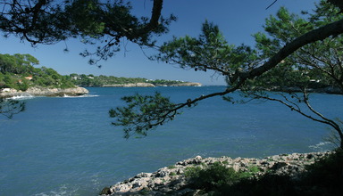 Puravida Resort