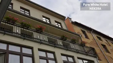 Pure White
