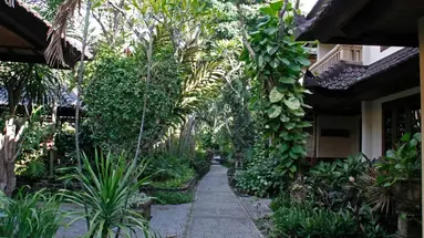 Puri Bambu
