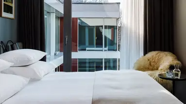 Puro