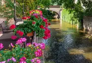 Pytloun Kampa Garden