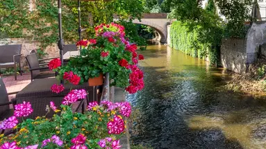 Pytloun Kampa Garden