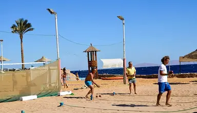 Queen Sharm