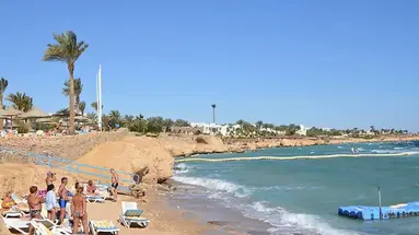 Queen Sharm