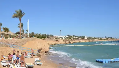 Queen Sharm