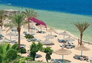 Queen Sharm