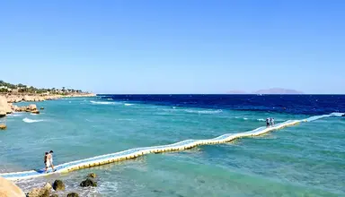 Queen Sharm