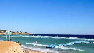 Queen Sharm