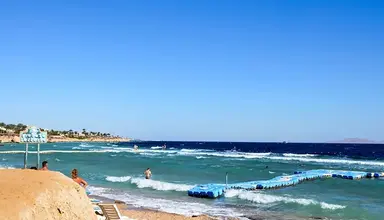 Queen Sharm