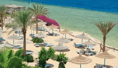 Queen Sharm